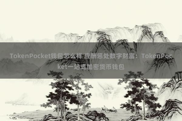 TokenPocket钱包怎么样 应酬惩处数字财富：TokenPocket一站式加密货币钱包