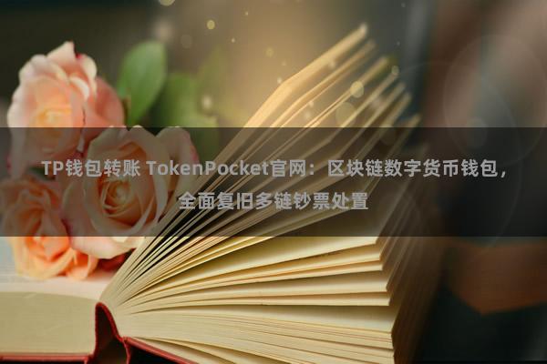 TP钱包转账 TokenPocket官网：区块链数字货币钱包，全面复旧多链钞票处置