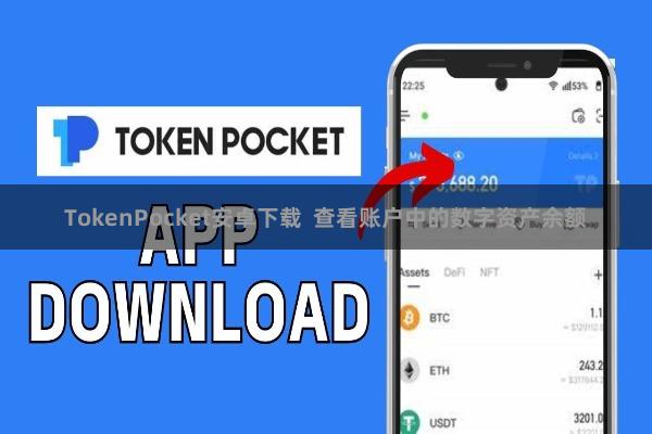 TokenPocket安卓下载  查看账户中的数字资产余额